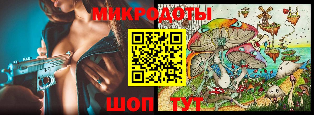Псилоцибиновые грибы Psilocybine cubensis Сокол