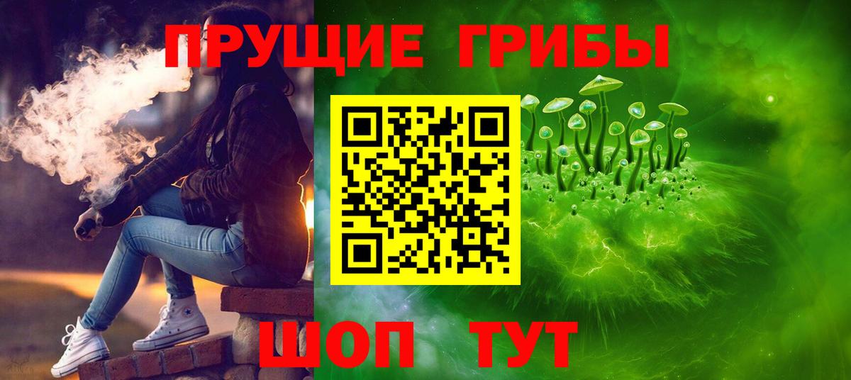 Сокол  Псилоцибиновые грибы Magic Shrooms  Вход с VPN 